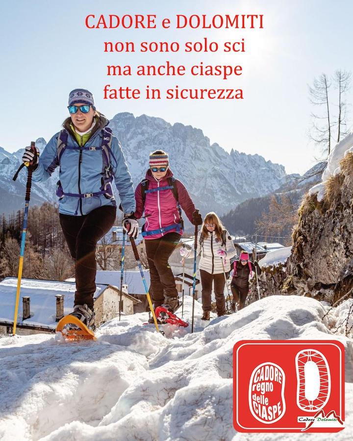 Villa Nani Pieve di Cadore Εξωτερικό φωτογραφία